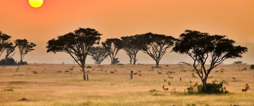 Queen+Elizabeth+National+Park+(Ishasha)_Uganda_20110805_11-2