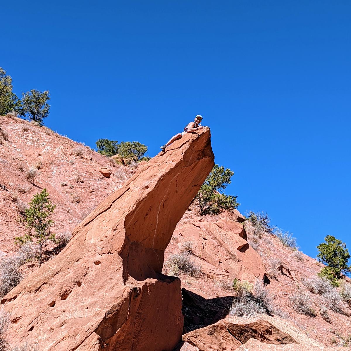 original_d5832790-b7c0-43d3-ad97-00e8e2a949f0_PXL_20220505_160811947